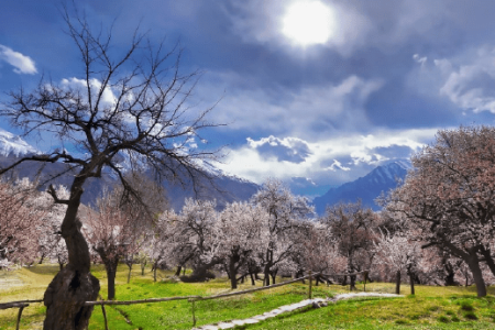 8-Days Standard Blossom Tour | Skardu | Shigar | Khaplu | Hunza |