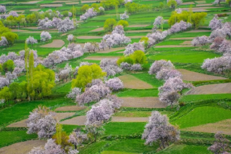 5-Days Standard Blossom Tour Skardu | Chunda | Khaplu | Shigar |